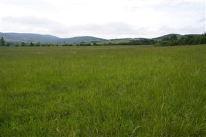 Pohľad na časť lokality